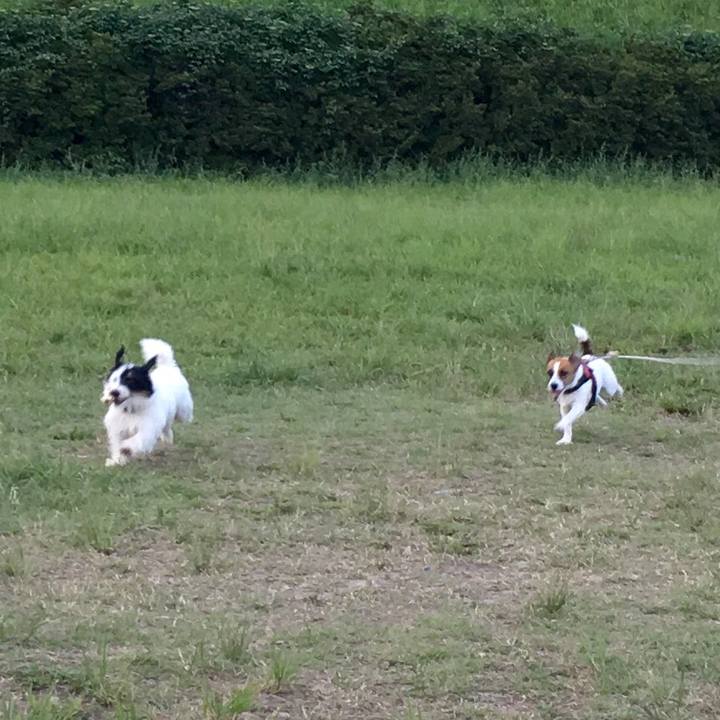 6d90fa6e f562 40a8 b365 10be30f40859