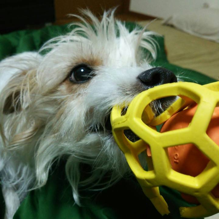 6d91210b 4b8c 4b8d 88c2 ddf75eab62ca