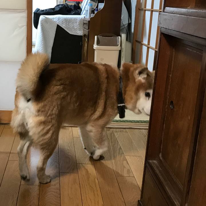 6d9161e5 387b 4380 95cb 5226c4306ce6