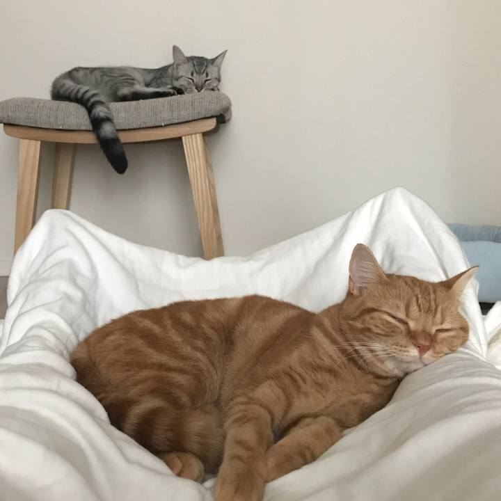 6d91c035 baab 4d18 9b67 c5dd7d4cfc2c