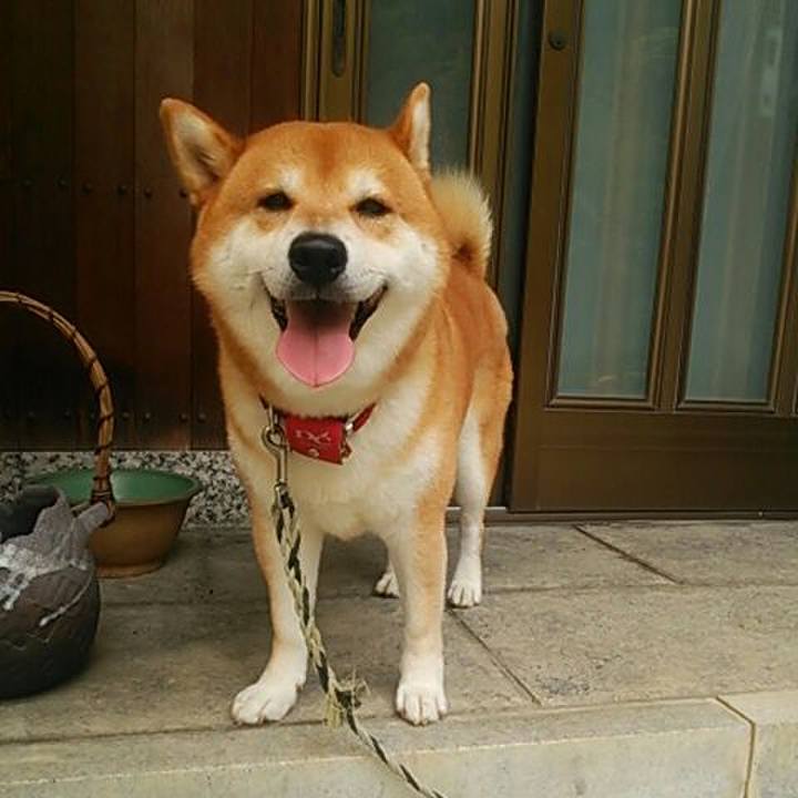 6d92acad e401 4191 b7a9 14ccd90c93e2