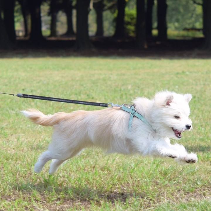 6d92d0cf 8d46 4059 abdb 3a2ea9a9260b