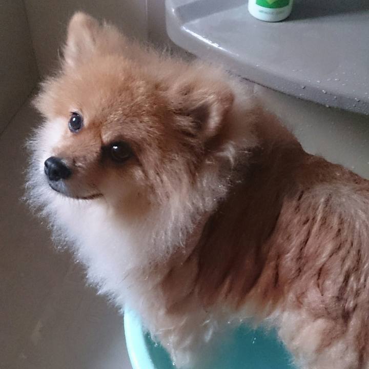 6d92da4a f016 4fbe 8ae3 b4304f988215