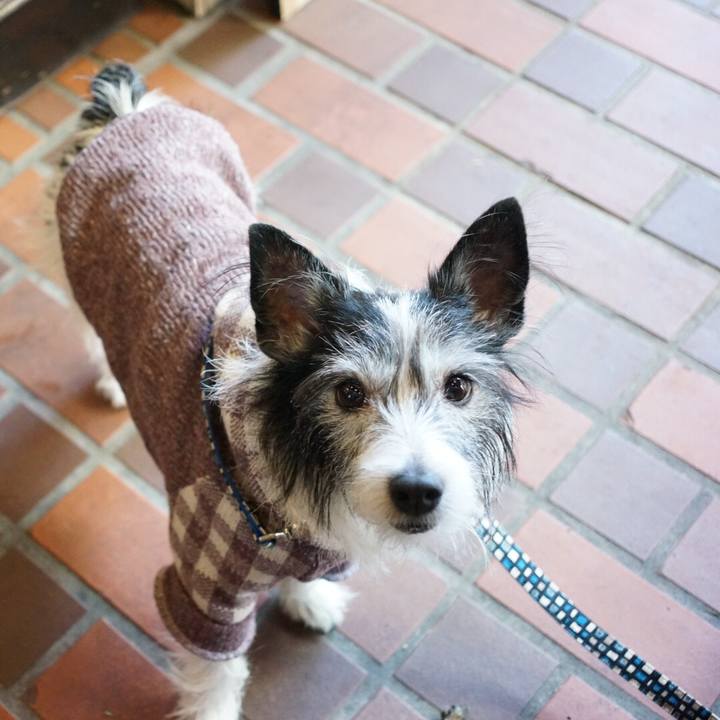 6d930cf0 4195 4df6 a66d d01e448f4c74