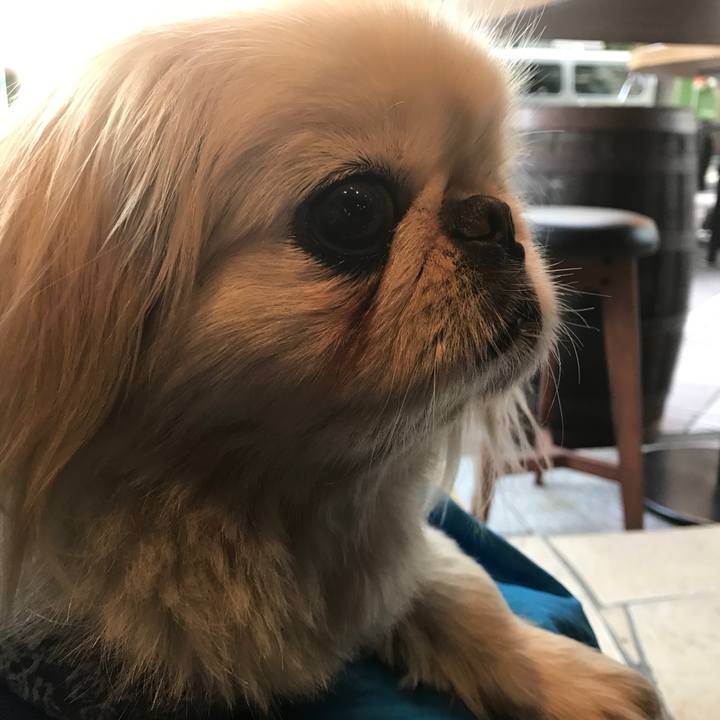 6d93613b 6db8 48b2 ba83 2cced93d4424