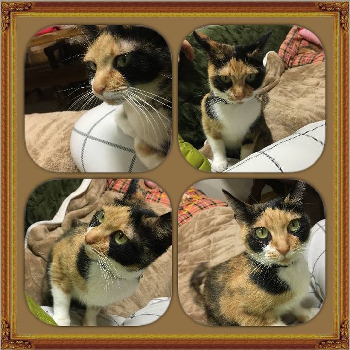 6d93d088 6270 4a08 9f97 7bb70d9385d9