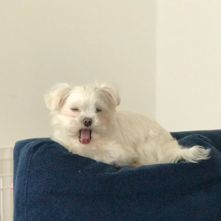 6d942d90 8a3e 42e5 b7fb fd84c3562707