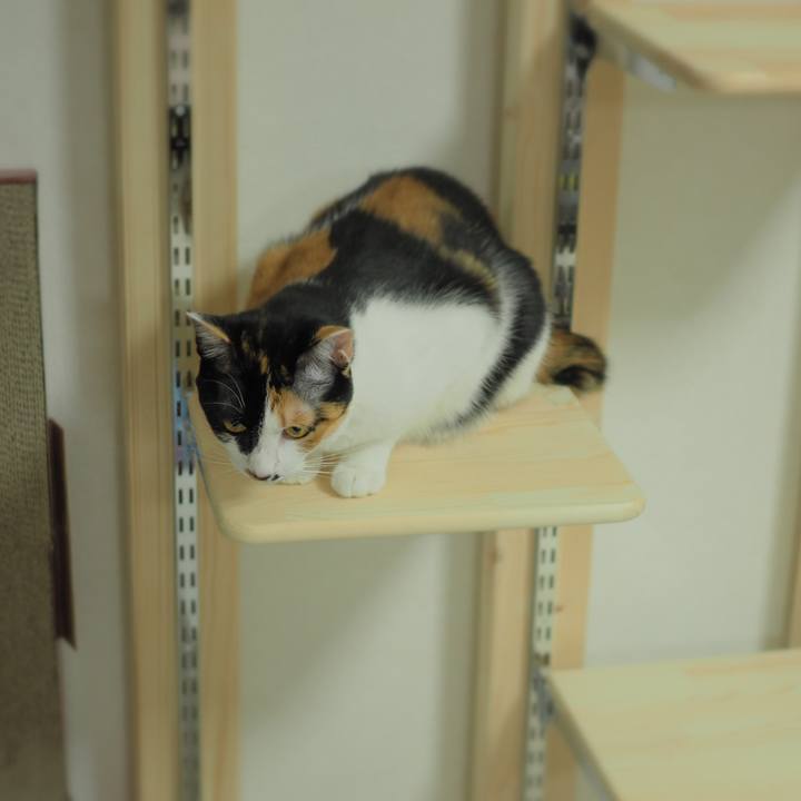 6d949889 180a 4ba5 9200 1cfcf58b7bb4