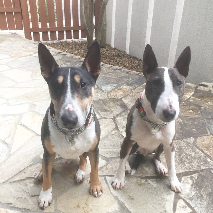 6d954506 8402 481b b73b 6e50592a90e7