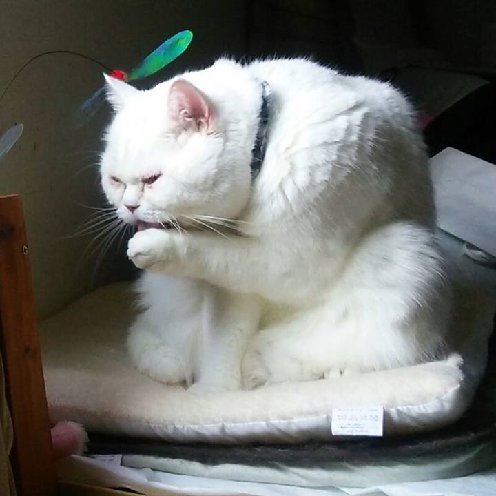 6d955b8c c487 4a49 909b 64ad03d7d62c