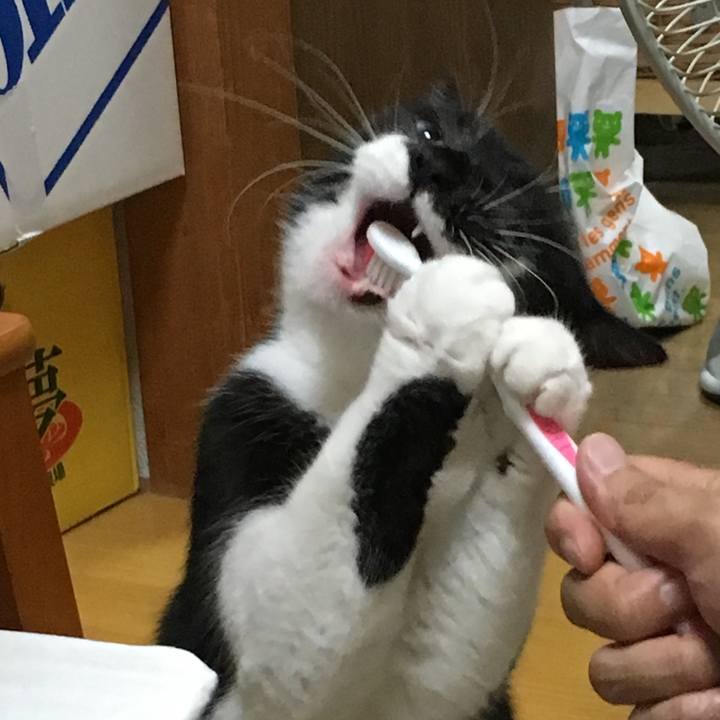 6d95d355 4358 45e5 881e 4a40ef6985cb