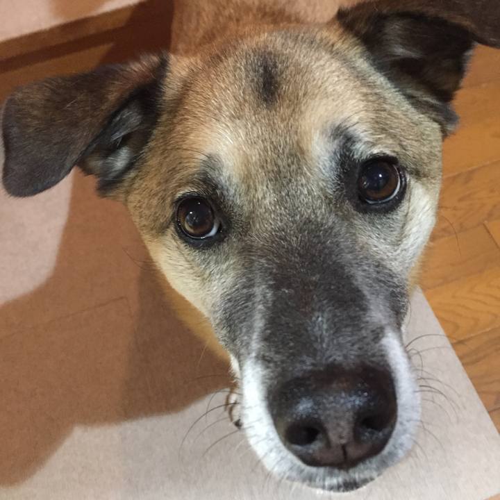 6d95f279 e812 46a7 88c4 158a7d8fcbf0