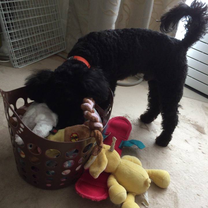 6d960d87 3e5d 4c5a 9238 49e41c694ea5