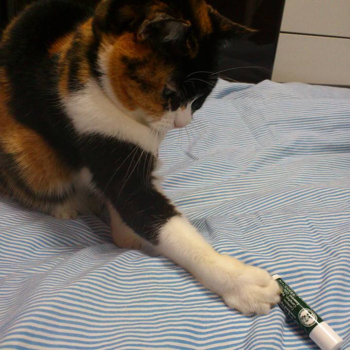 6d963875 c646 45eb 8880 07ed542f39d8