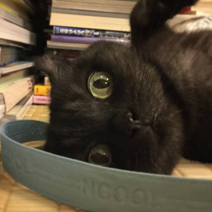 6d9645ec 3ed8 4719 9031 71374ae6bf96