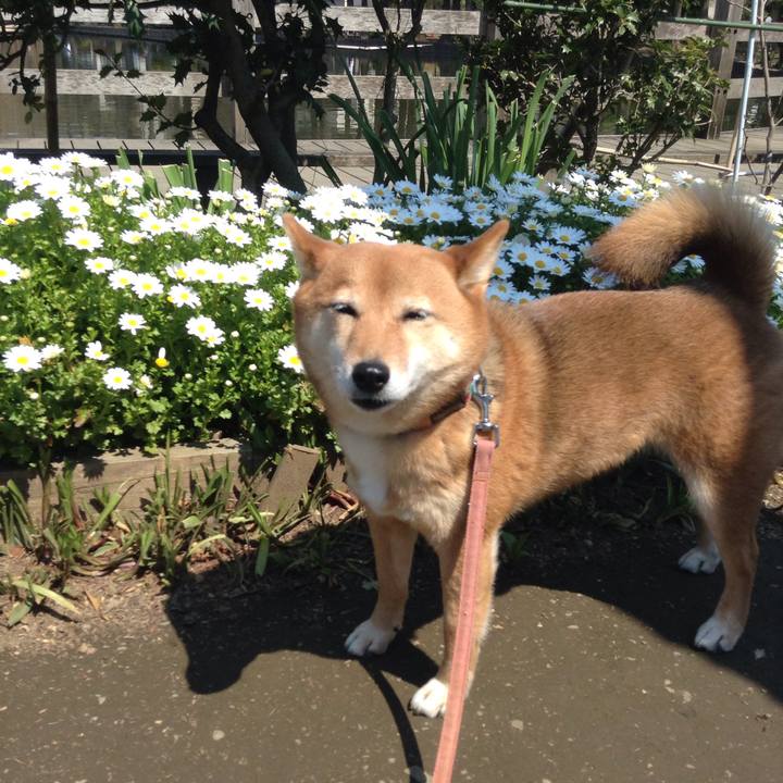 6d968c74 b200 4f08 971d 5ae1c8d20cbd