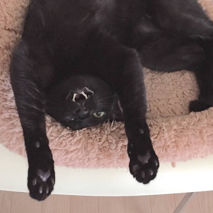 6d97e636 4e83 4bea b237 117685b92806