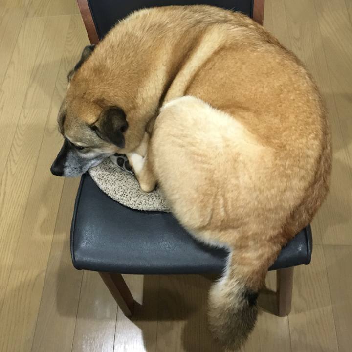 6d98270e 26af 4e55 b281 e1074ed5ee7b