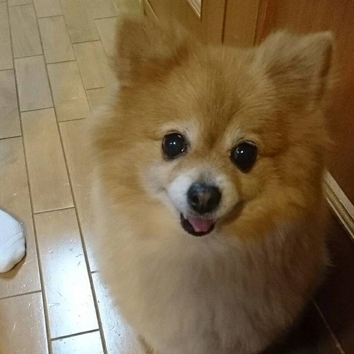 6d994048 76fe 46d4 a905 8bf92f7e6976