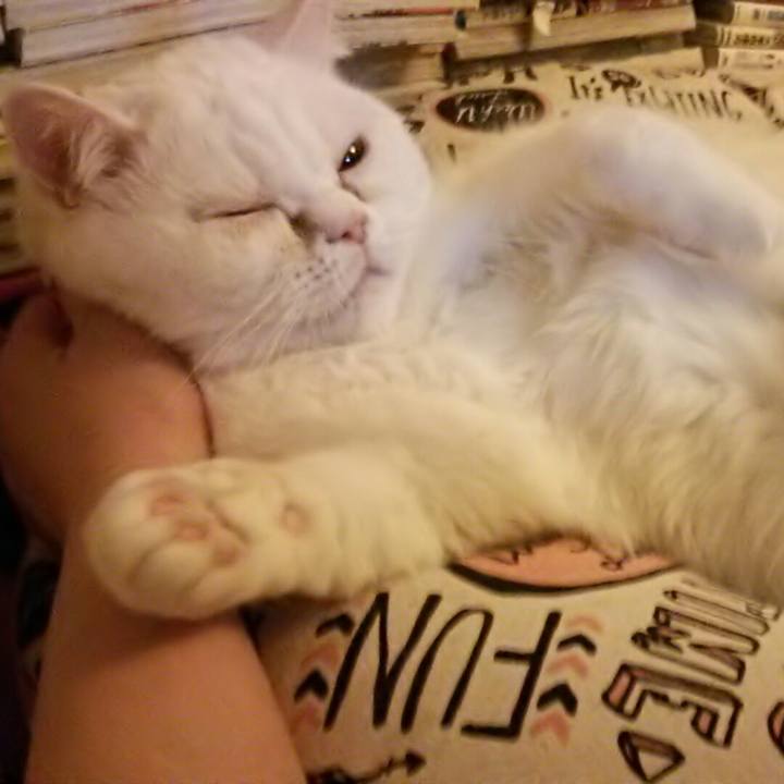 6d9988e7 1926 4828 93ed 65b27670bc50