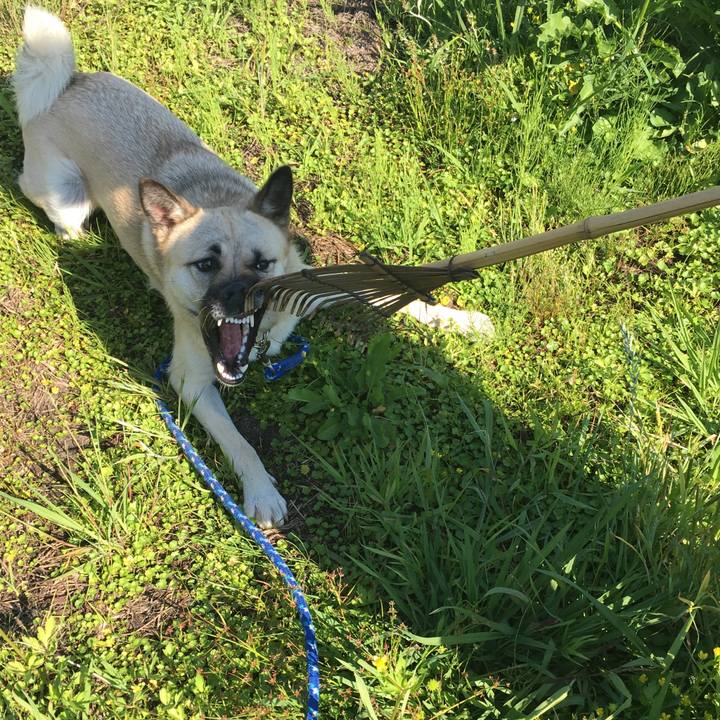 6d9a2396 eb63 4724 8560 a8ea9f0b38ac