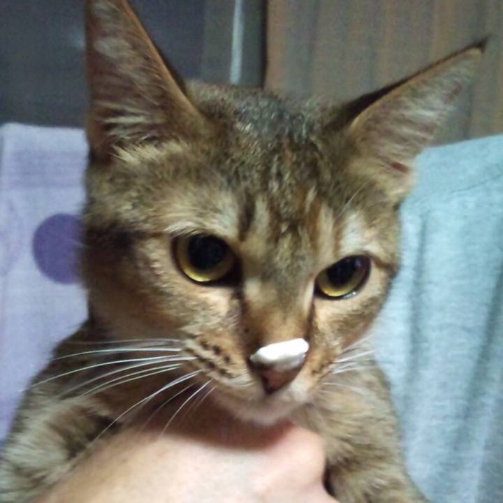 6d9a8e79 3295 4459 a9a5 2855563322e3