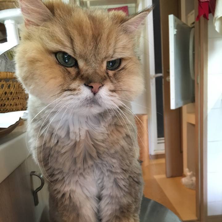 6d9b56bb 3459 428d b53c 03784786e6b1