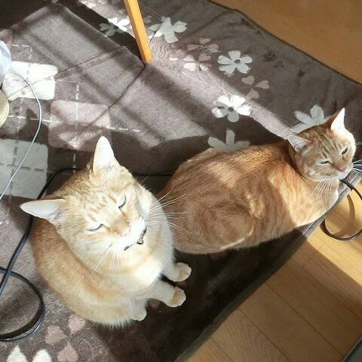 6d9b686c 162f 4f66 98e6 2de60abd6666