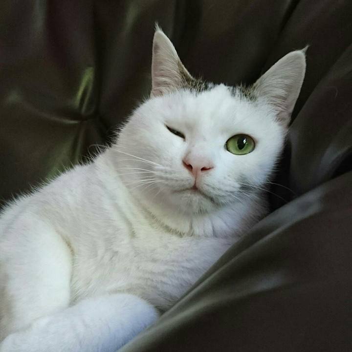 6d9b9eef 67aa 434b ba14 e4d2ce9325dc