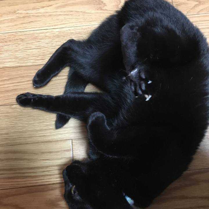 6d9c4c91 fbff 4bb4 8683 475dbed0f5f7