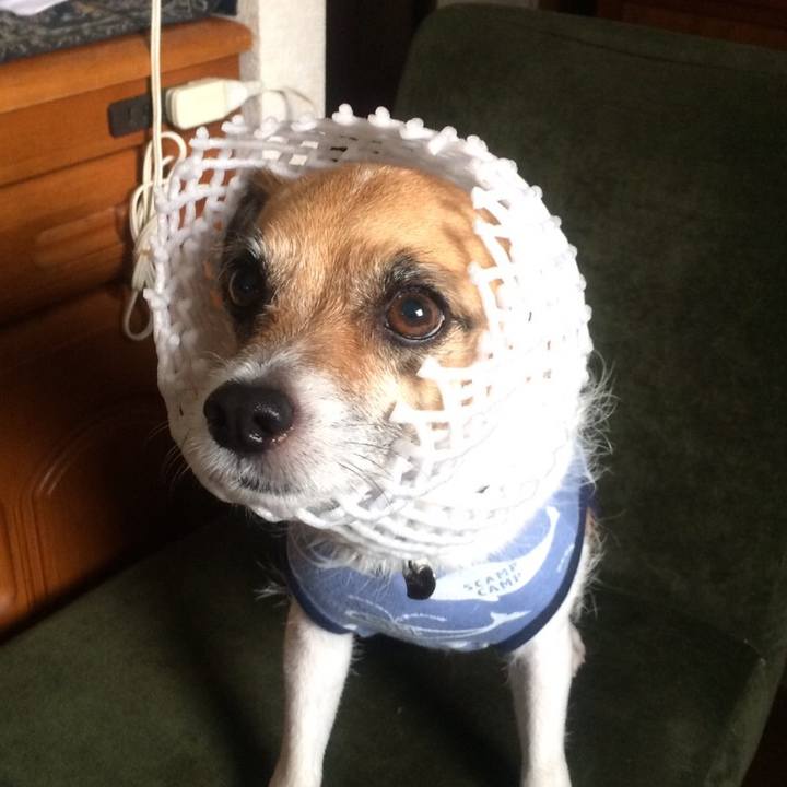 6d9c9bed 908e 4489 b3f3 f60823b62087