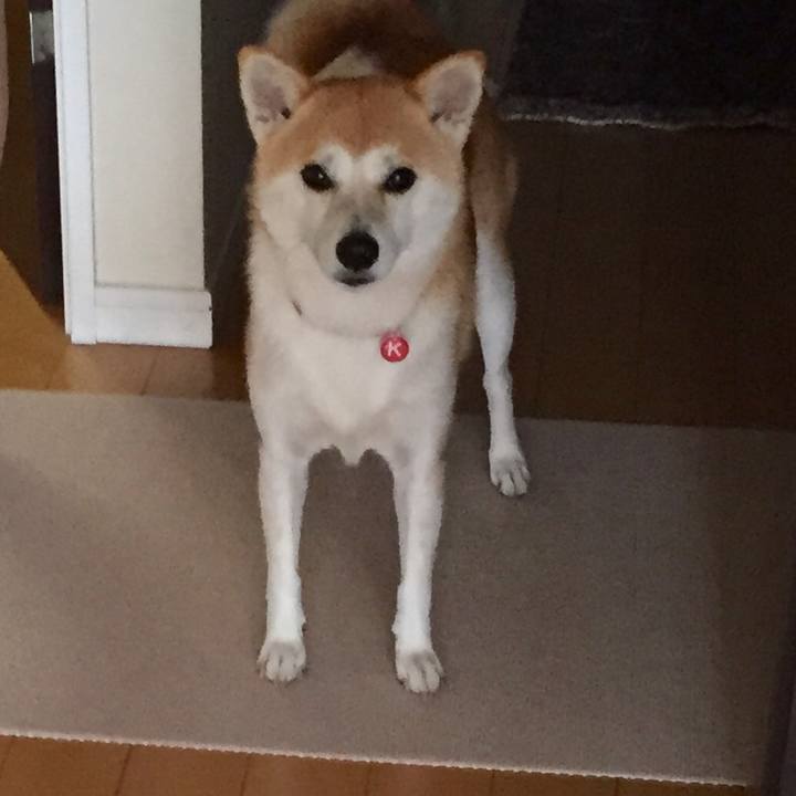 6d9cac03 780e 4571 bcfe 4f6c39212a35