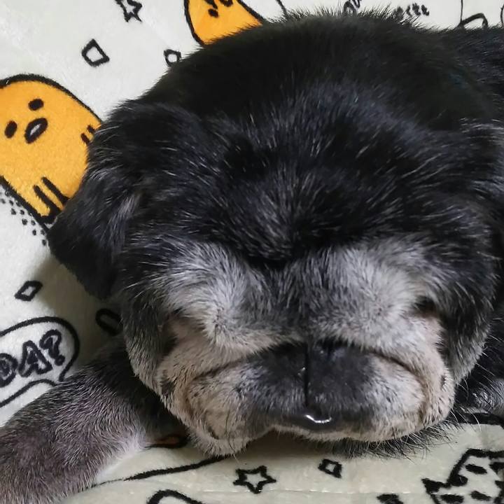 6d9ce21c 9eb9 44e6 a35f 7acd4db6e7e6