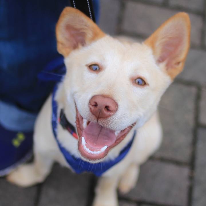 6d9d2cbc 7309 44d0 b892 d2731c8ad155