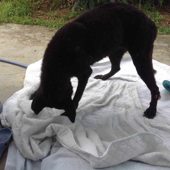 6d9d9f75 0fa4 4d58 b7af 792f9b62e197