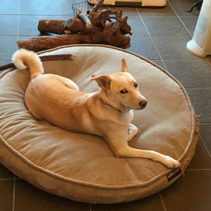 6d9dc5f8 84b0 4aef 8afe 5c33f3c331ae