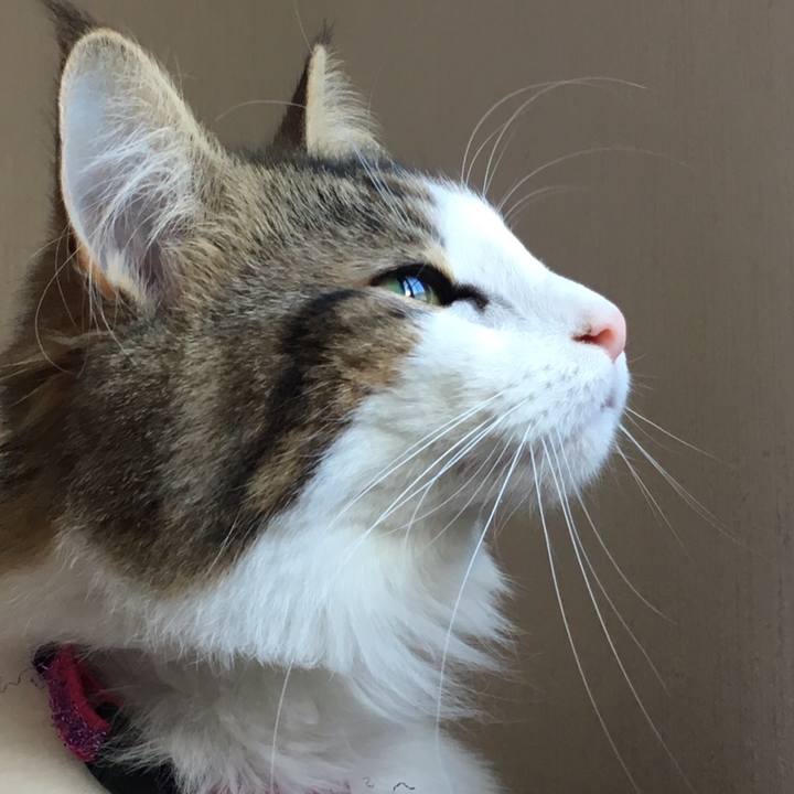 6d9f28fa 8488 4b77 96bb 4168200be8a0