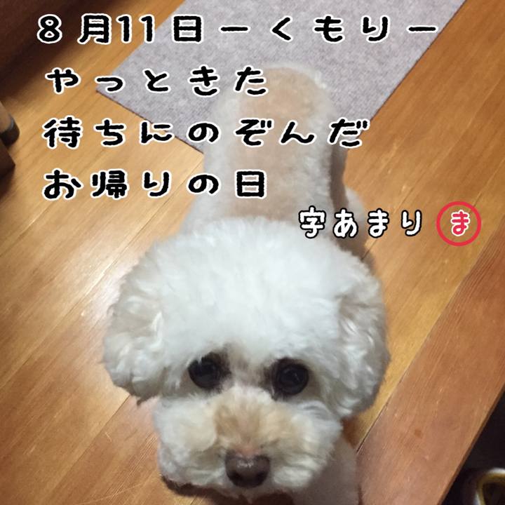 6d9f6f67 359e 456c acfd 0c2070d0c958