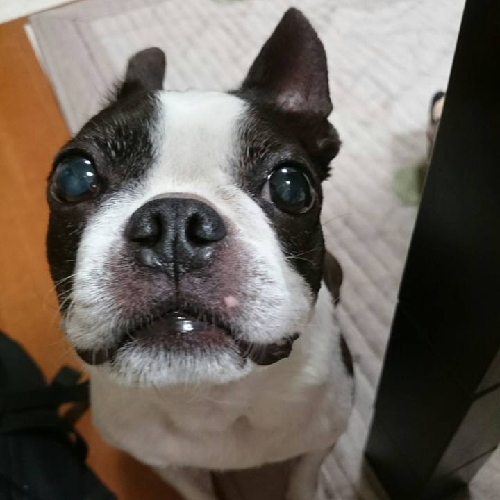 6da0dda5 e78b 46f1 9ffd 54d5b166ad39