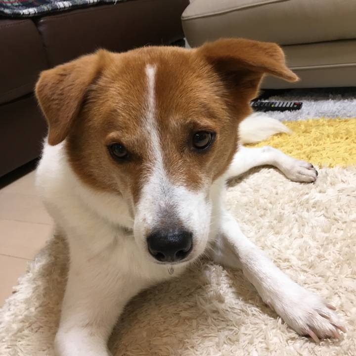 6da16a57 e663 4ad9 ba43 83a396b4d9b2