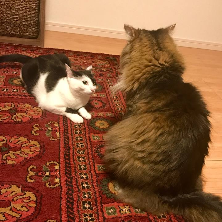 6da2e295 b4df 4e5f b359 57df3a4c5c2a