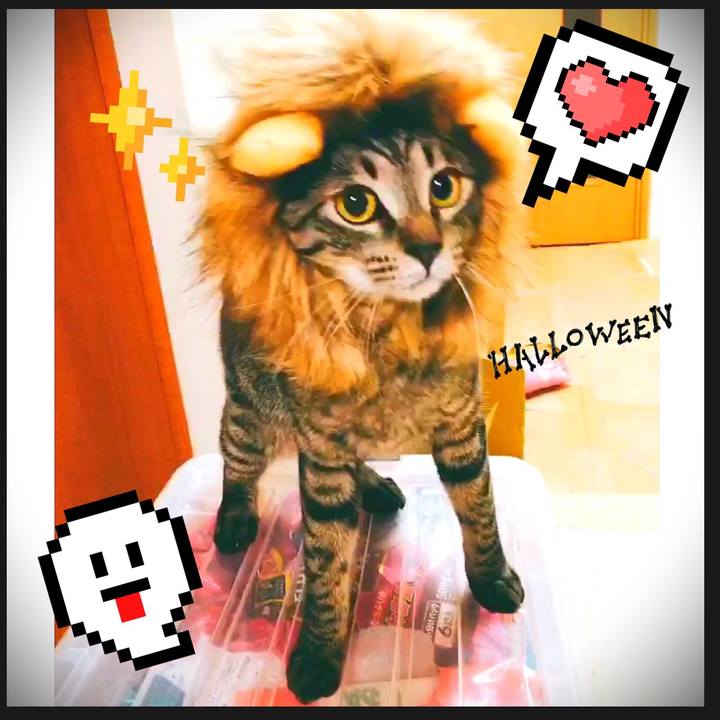 6da2f744 781d 4afd 8cbd e33a8e010a12