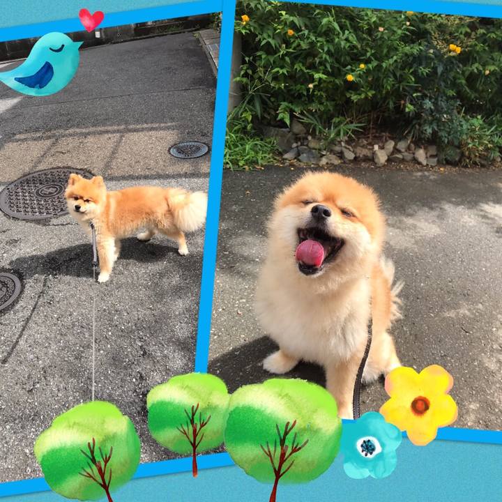 6da32445 7842 4313 9212 30899fd0c01d