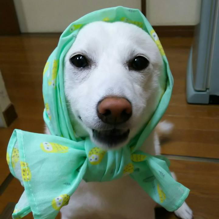 6da3bf95 e1c8 4abe a942 f5fd2e4113c1