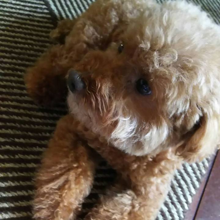 6da3cc80 2f18 4153 a04f 311eac1e9dba