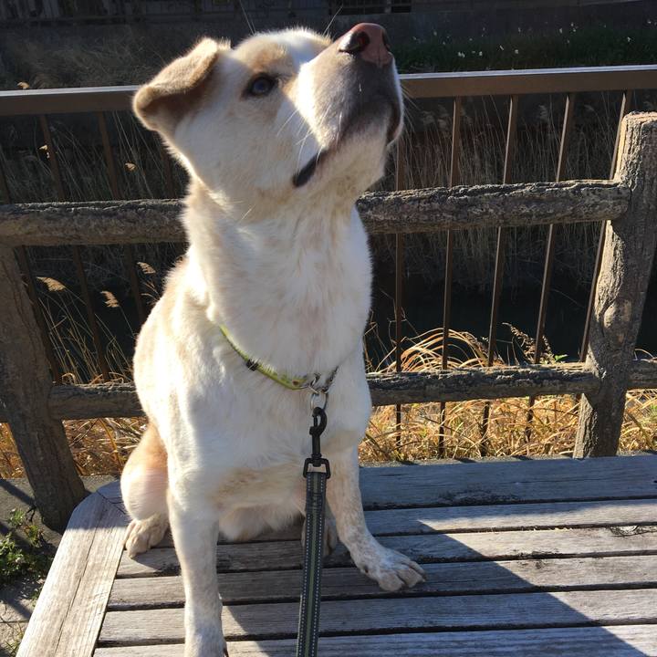 6da43651 5c23 46bf 8516 bcf199418a3a