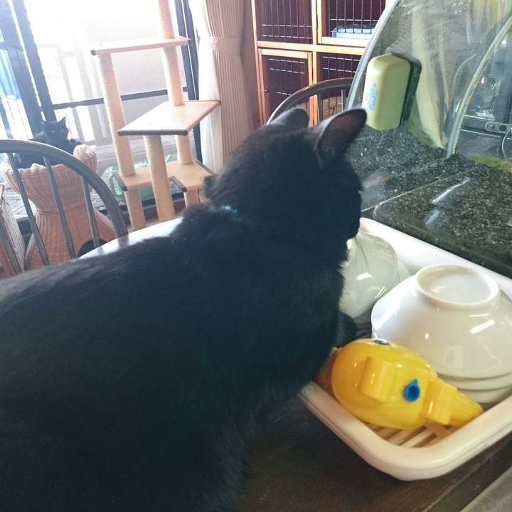 6da47374 e169 4c05 81d9 ffd7df1ba7be