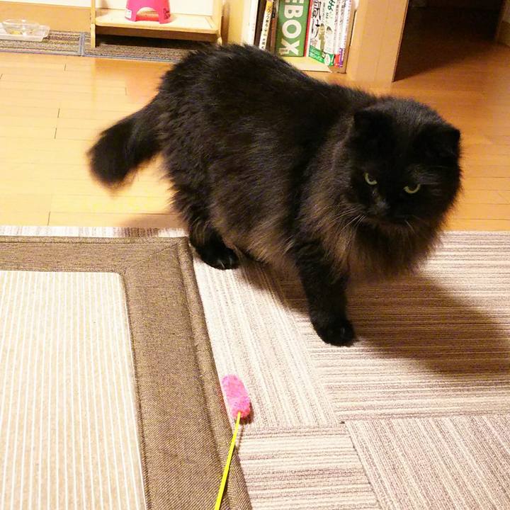 6da4b8ce 93a7 498f 9ff1 123d371d100c