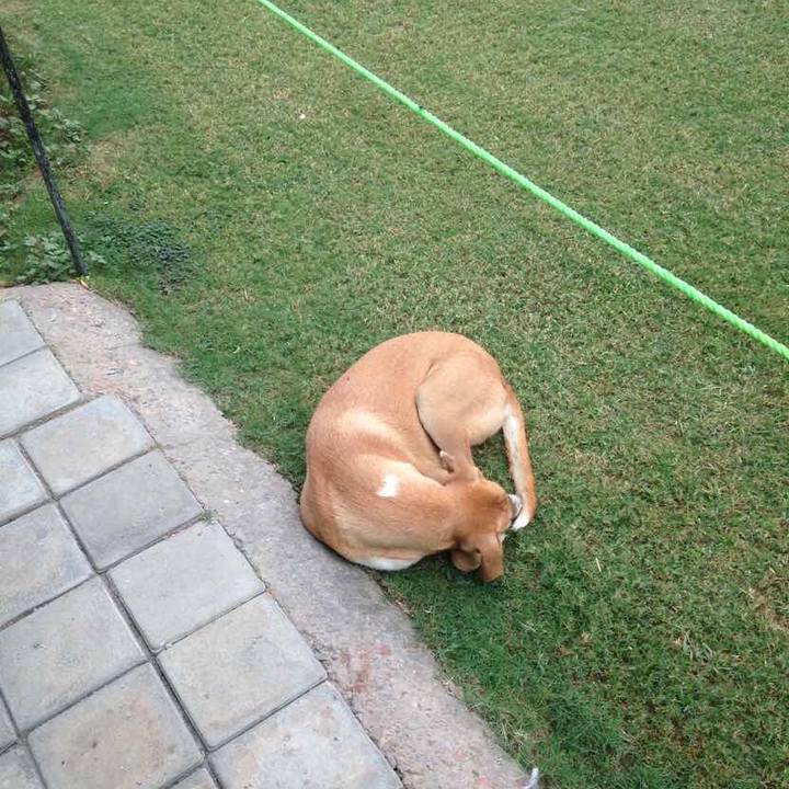 6da4e6d2 9639 4dd0 8780 8c80a749bf69