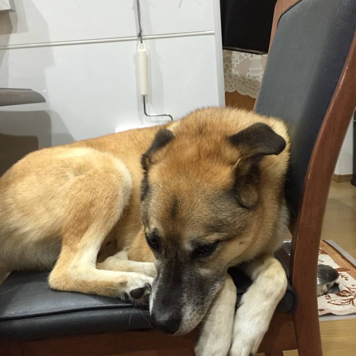 6da50e3d 17e0 4274 a4e7 2dd31c809938